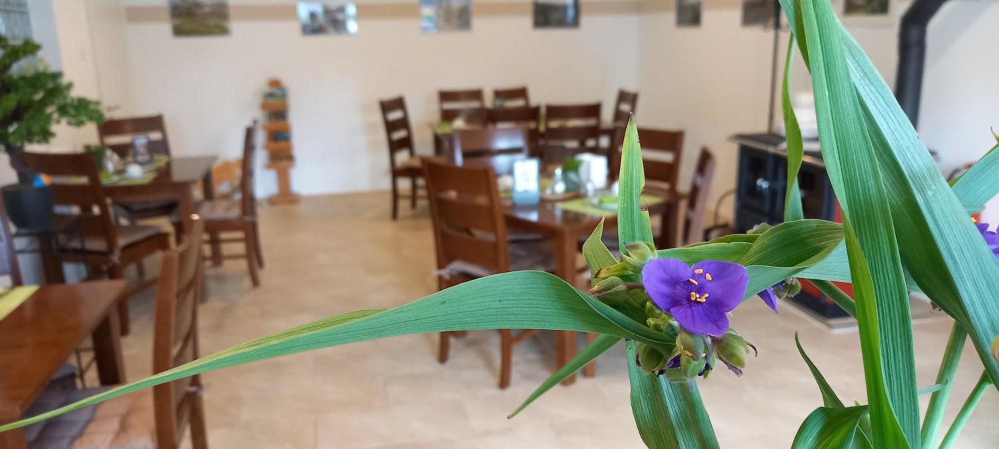 Gaestehaus Wohngut アイゼナハ エクステリア 写真